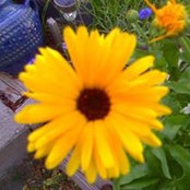 Vickie Haggit's photo