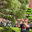Treeline Designz