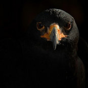 Erkan Uçak's photo