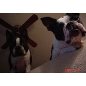 Kathy Heavlin's photo
