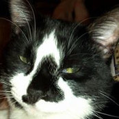 Peggy Vigen's photo