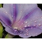 Amanda Clark's photo