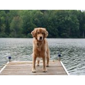 Barbara Lettieri's photo