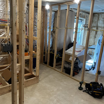 Basement Remodel