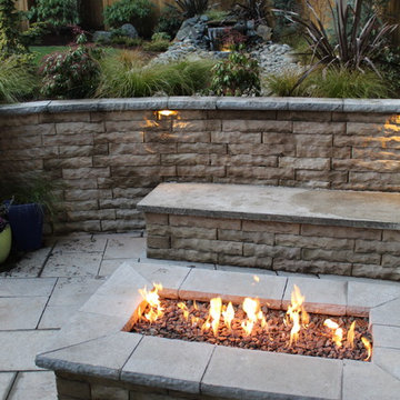 Melissa's backyard
