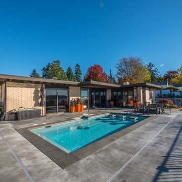 Mid Century Modern Remodel