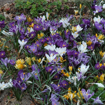 Unforgettable Bulb Display