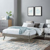 Modway Margo Twin MDF Wood and Rubberwood Platform Bed Frame in Gray