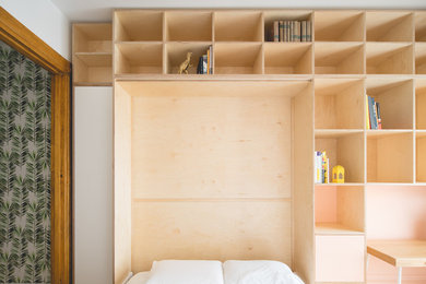 Custom murphy bed/bookcase