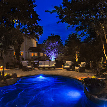 Landscape Lighting Blue Moon