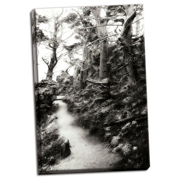 Fine Art Photograph, North Point Pathway I, Hand-Stretched Canvas