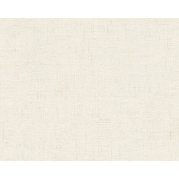 Plain Textured Wallpaper Painted Wall, 322622, Beige Silver, 1 Roll