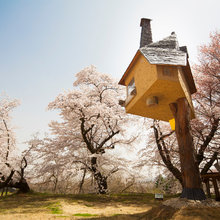 Treehouses