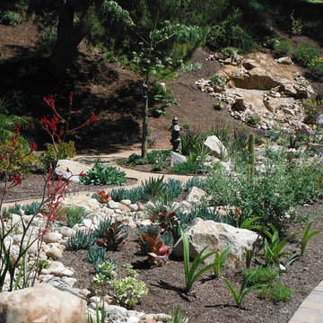 Rancho San Diego Mediterranean Garden