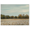 Jai Johnson 'Cotton Field In Autumn' Canvas Art, 47 x 35