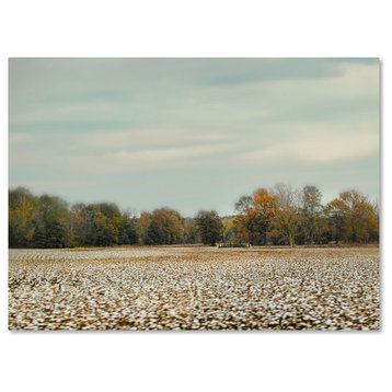 Jai Johnson 'Cotton Field In Autumn' Canvas Art, 24 x 18