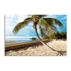 Ready2HangArt - Ready2hangart Bruce Bain 'Beach Palm II' Canvas Wall Art - Prints And Posters