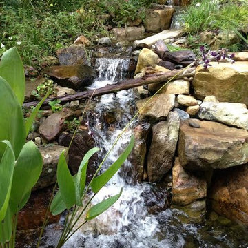 Water Gardens