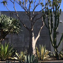 Outside