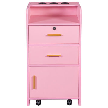 Gewnee Locking Beauty Salon Storage Cabinet