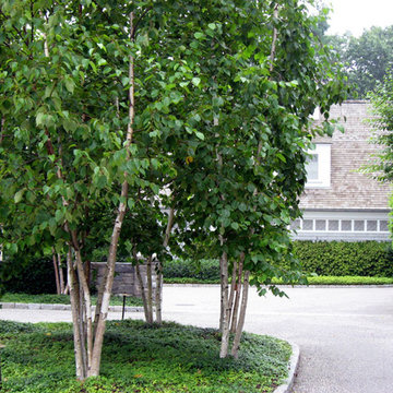 2015 Garden Dialogues: Riverside, CT, Riverside Waterfront Residence, June 27