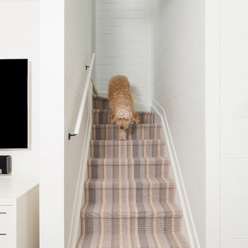 Airy Basement Reno