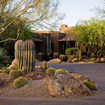 Natural Wonder - Phoenix Home & Garden