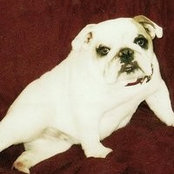 Karen Smiths foto