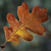 April Holmquist's photo