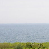 Anurag Sharma's photo