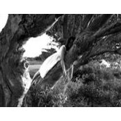 Ula Wawel's photo