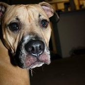 Julia Hartnell's photo