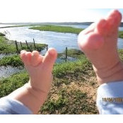 Elad Cohen's photo