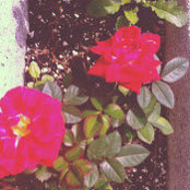 Melissa Rivera's photo