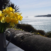 Catherine Lavery's photo