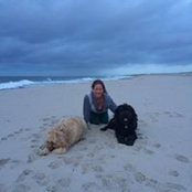 Lisa Cheek's photo
