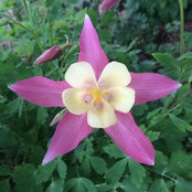 Kate Robinett Holley's photo