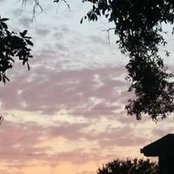 Tracy Ballard's photo