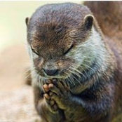 Catherine O'Donnell's photo