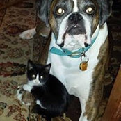 Debbie Steffy's photo