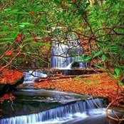 Vilma Phillips's photo