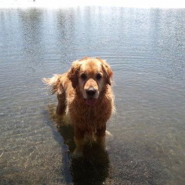 Tumalo Ranch- Bend OR Happy Dog