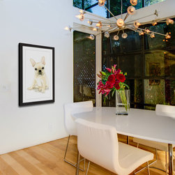 Frenchie - Products