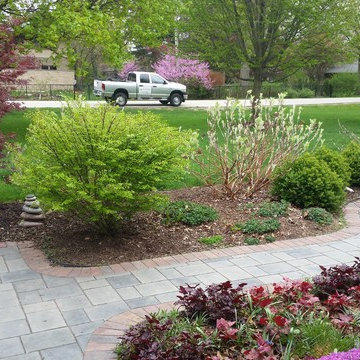 sycamore mulch-less conversion