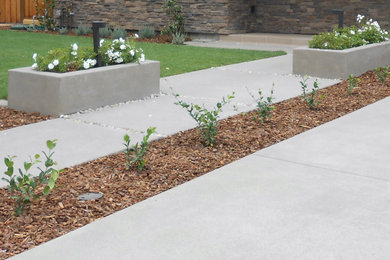 This is an example of a large contemporary landscaping in Other.