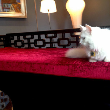 Cat on a Hot Red Cushion