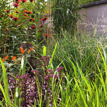 Dover Drive Perennial 'Garland' Detail, Summer Aspect