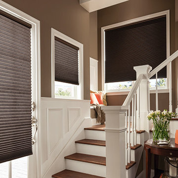 Blinds & Shades