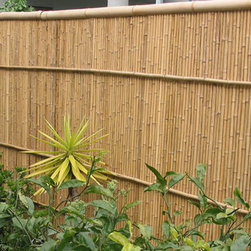 Bamboo Fencing Panels - Home Fencing & Gates
