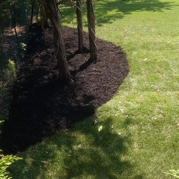 Sod Installation, Brush Removal, Planting, Mulching and Trimming